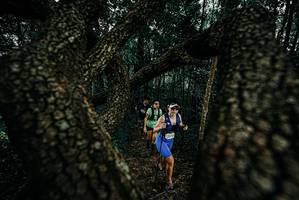 BIB: 
                            <button type="button" onclick="openModal(25678644)" class="btn btn-primary btn-sm float-right btn-popup" data-toggle="modal" data-target=".modal-high-quality">
                        <i class="fas fa-shopping-cart"></i> Add to Cart
                    </button>
                                            <button type="button" onclick="isThisMe(25678644, true)" class="btn btn-success btn-sm float-right btn-popup btn-isme hidden" data-toggle="tooltip" data-placement="bottom" title="นี่คือรูปของคุณใช่ไหม คลิกที่นี่เพื่อเอาเข้าอัลบั้ม">
                        <i class="fas fa-plus"></i> Add to album
                    </button>
                    <button type="button" onclick="isThisMe(25678644, false)" class="btn btn-warning btn-sm float-right btn-popup btn-isnotme hidden">
                        <i class="fas fa-ban"></i> Remove from album
                    </button>